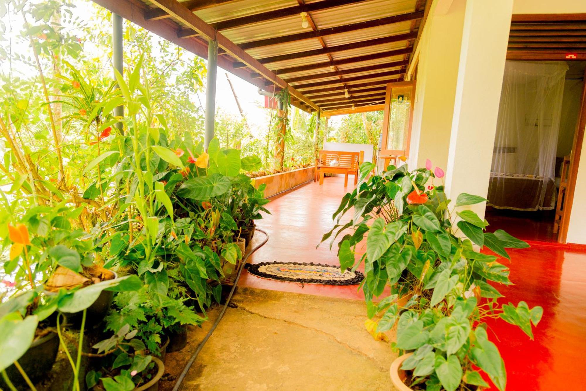 Aroma Heaven Homestay เอลลา ภายนอก รูปภาพ